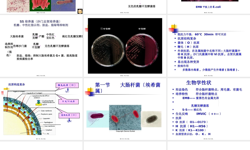 9肠道感染细菌.pptx