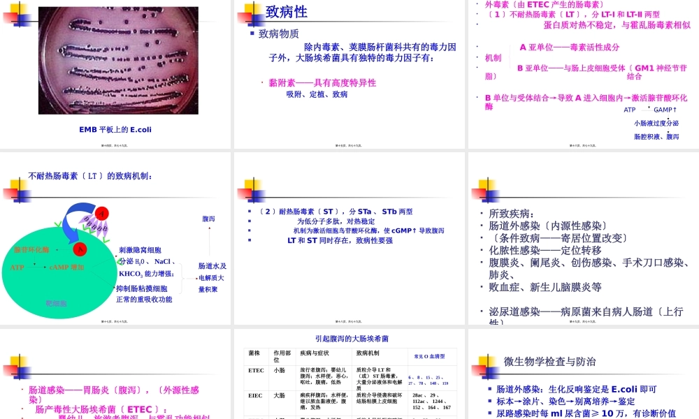 9肠道感染细菌.pptx