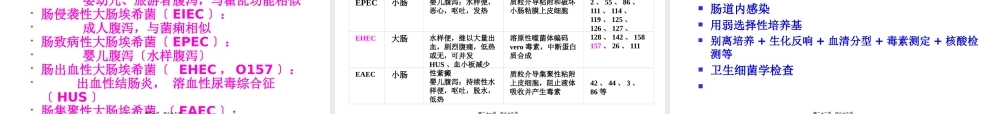 9肠道感染细菌.pptx