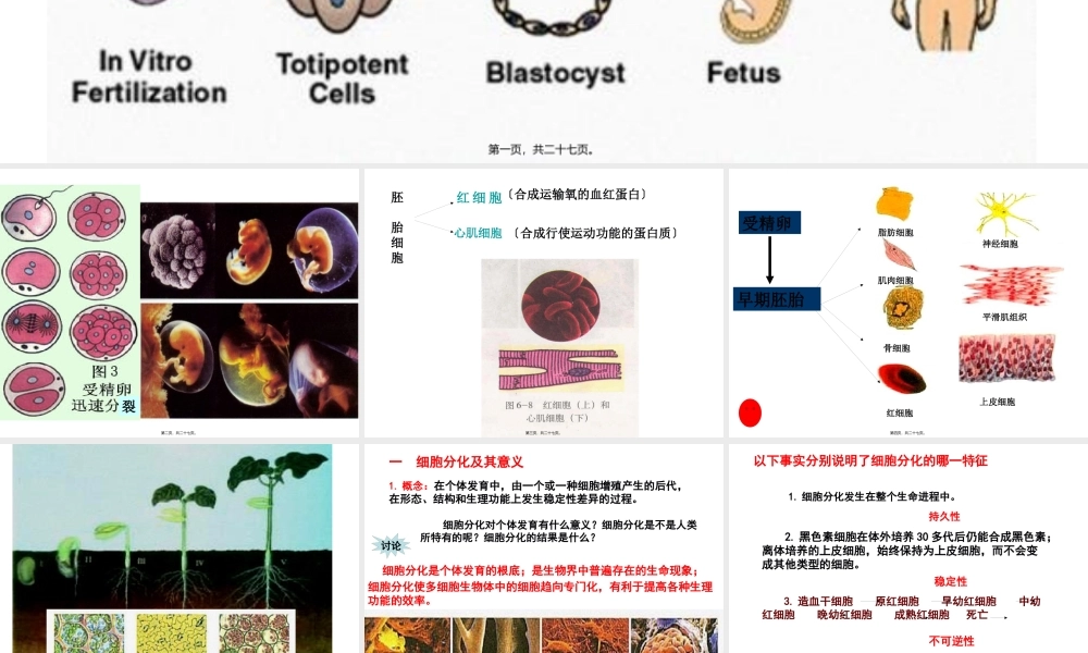 A.细胞分化是遗传物质改变的结果B..pptx