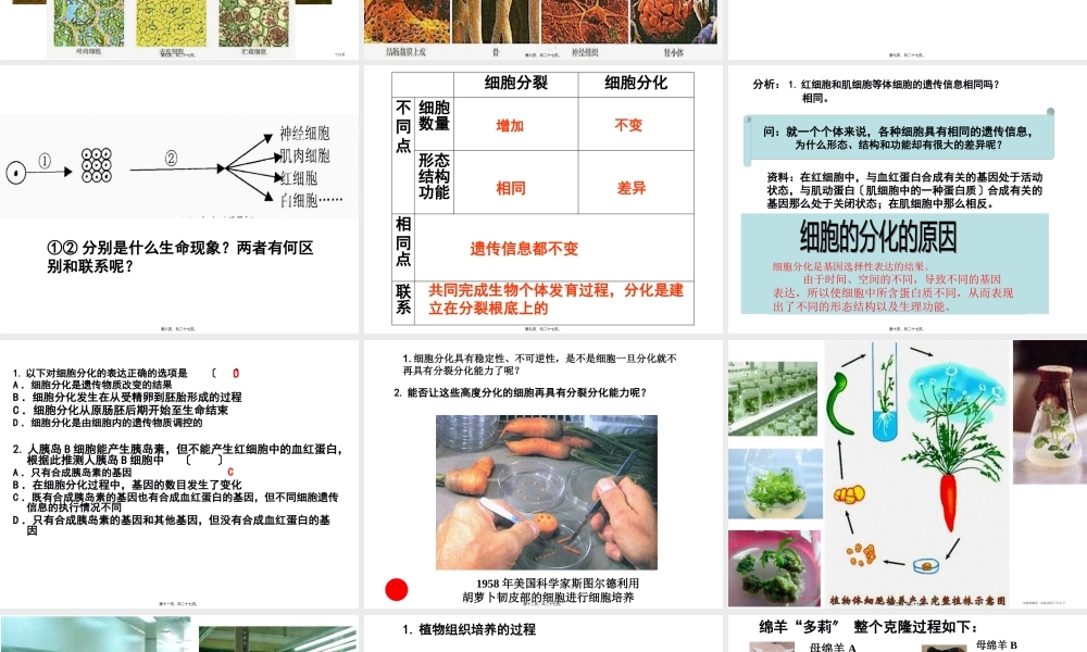 A.细胞分化是遗传物质改变的结果B..pptx