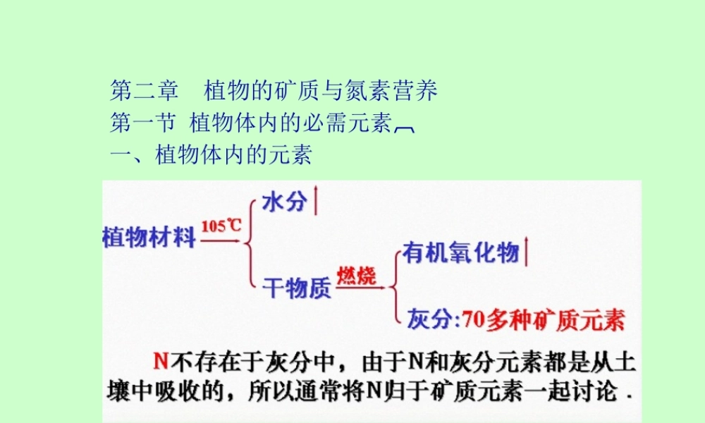 AA第二章植物的矿质营养精讲.pptx
