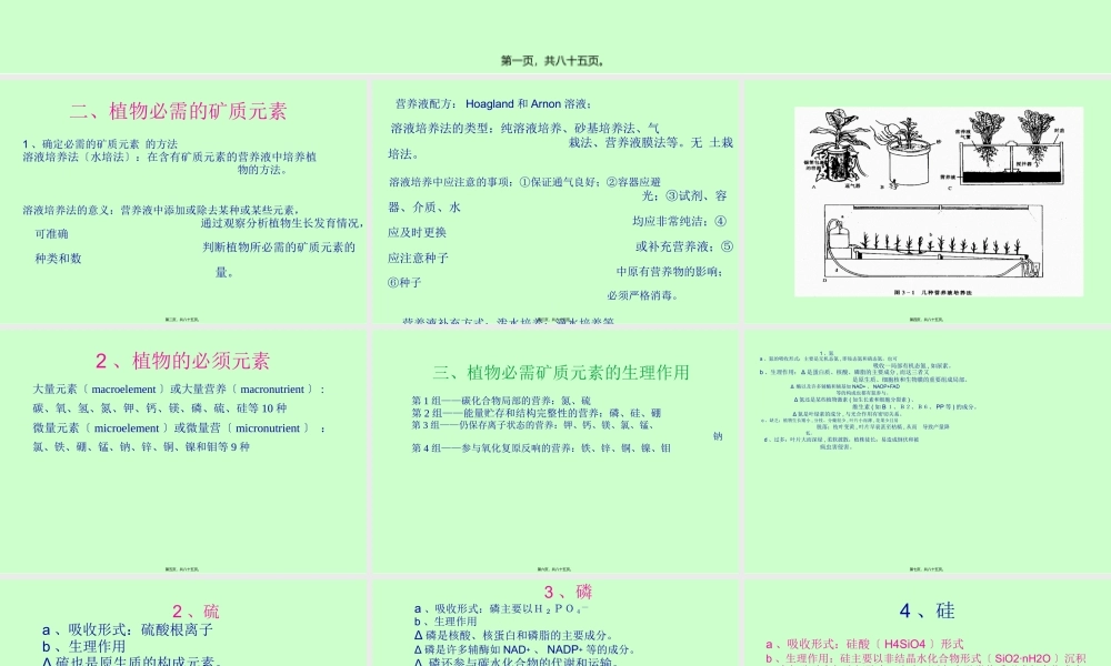 AA第二章植物的矿质营养精讲.pptx
