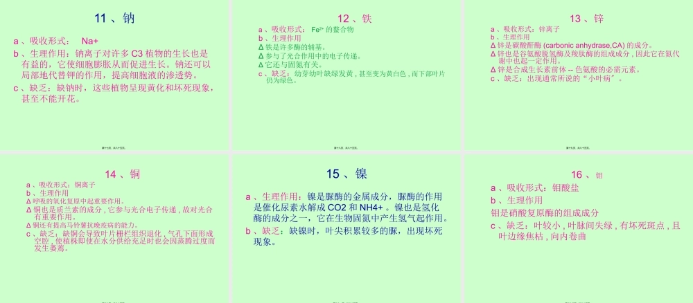 AA第二章植物的矿质营养精讲.pptx