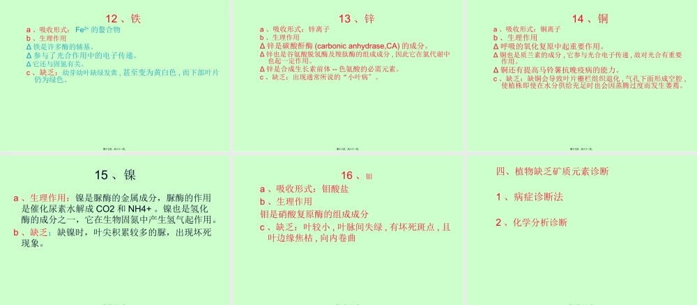 AA第二章--植物的矿质营养.pptx