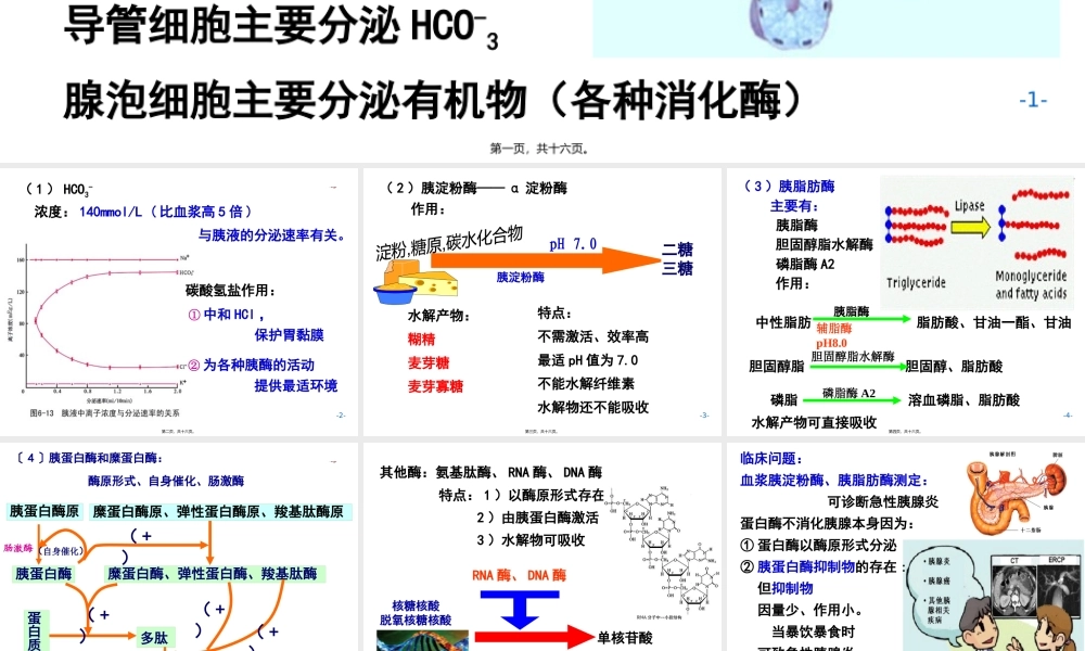 AC6消化2施建蓉.pptx