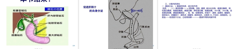 AC6消化2施建蓉.pptx