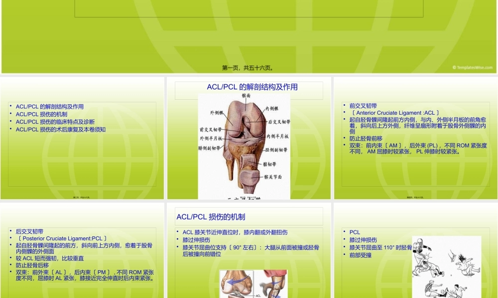 ACL-PCL术后康复.pptx