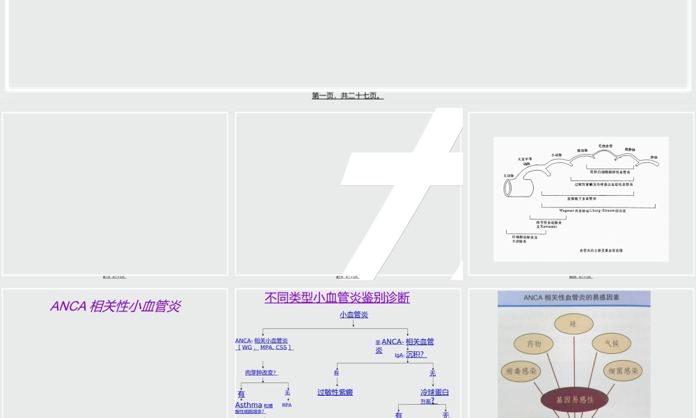 ANCA相关性小血管炎诊治进展.ppt