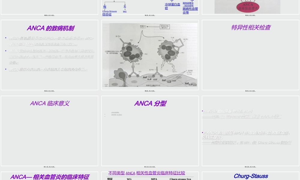 ANCA相关性小血管炎诊治进展.ppt