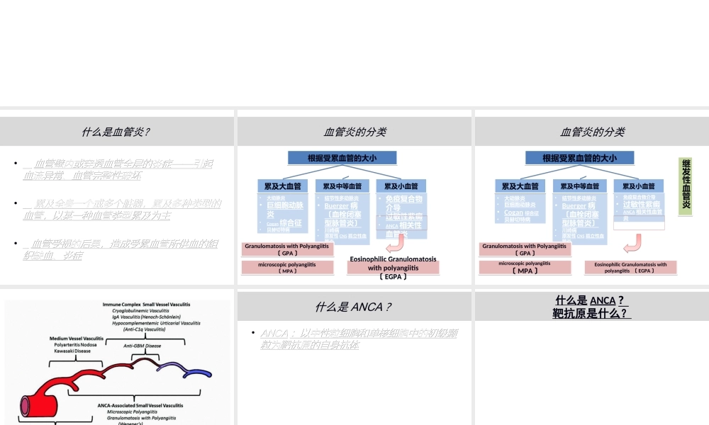 anca相关血管炎诊治进展.ppt
