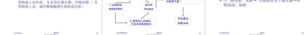 ARDS呼吸.pptx