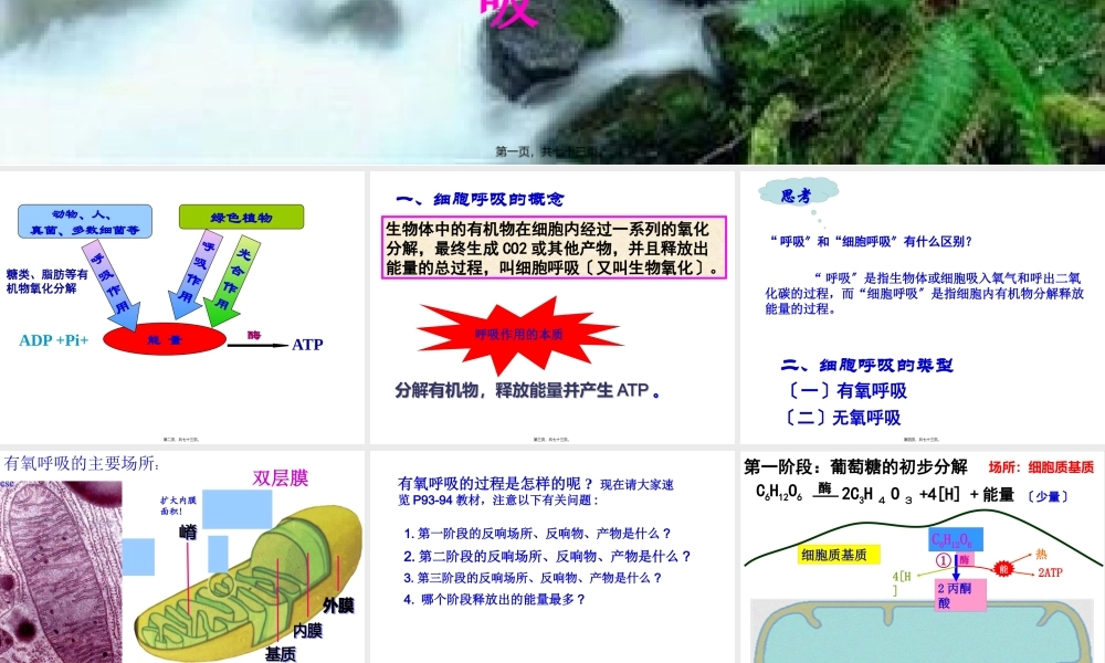 ATP的主要来源-细胞呼吸(上课)综述.pptx