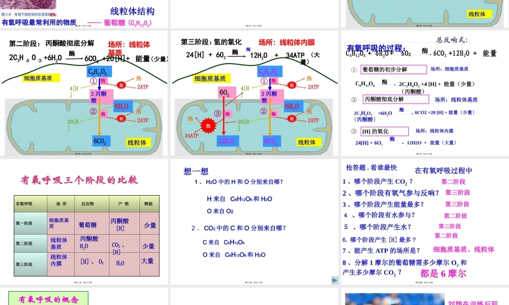 ATP的主要来源-细胞呼吸(上课)综述.pptx