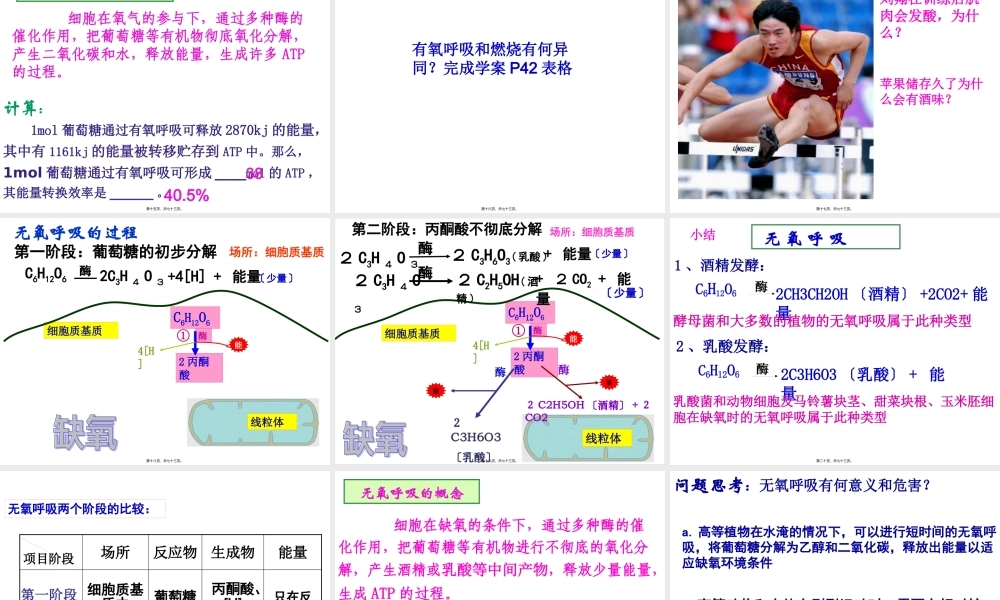 ATP的主要来源-细胞呼吸(上课)综述.pptx