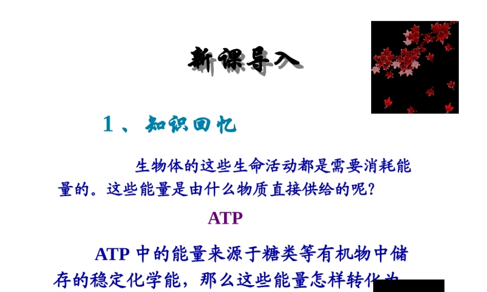 ATP的主要来源——细胞呼吸-(共69张ppt).pptx