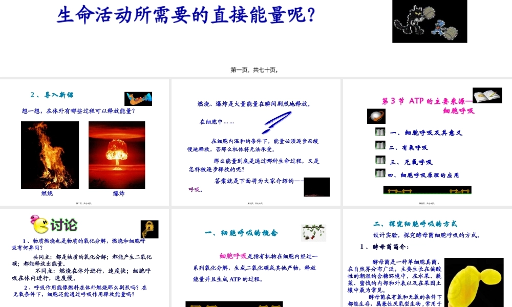 ATP的主要来源——细胞呼吸-(共69张ppt).pptx