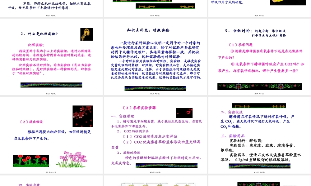 ATP的主要来源——细胞呼吸-(共69张ppt).pptx