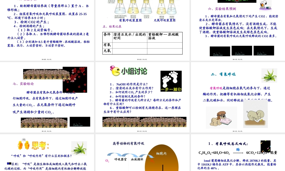 ATP的主要来源——细胞呼吸-(共69张ppt).pptx