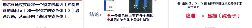 A常染色体遗传病最大的特点.pptx