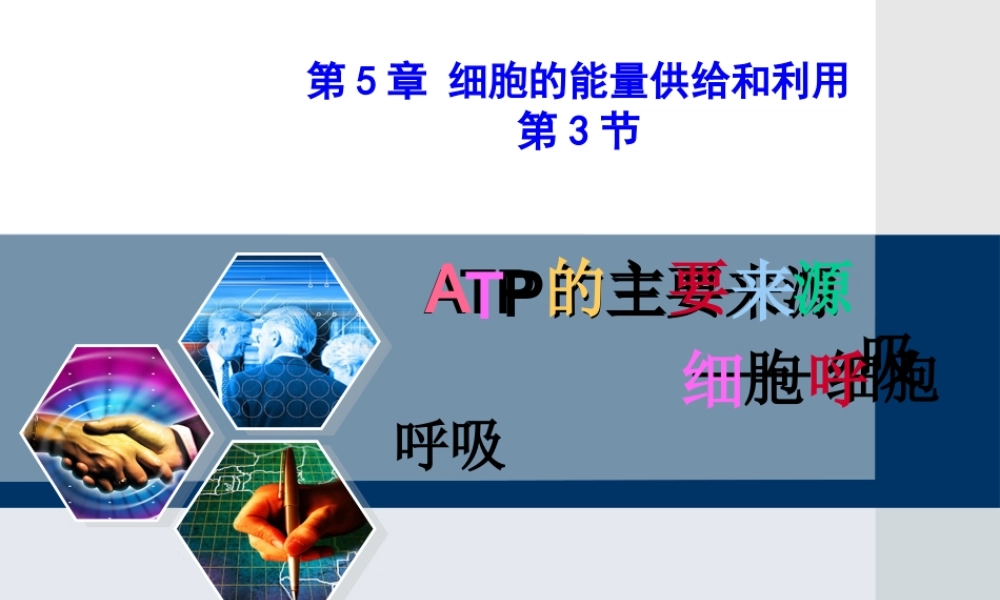 ATP的主要来源——细胞呼吸一轮复习.pptx
