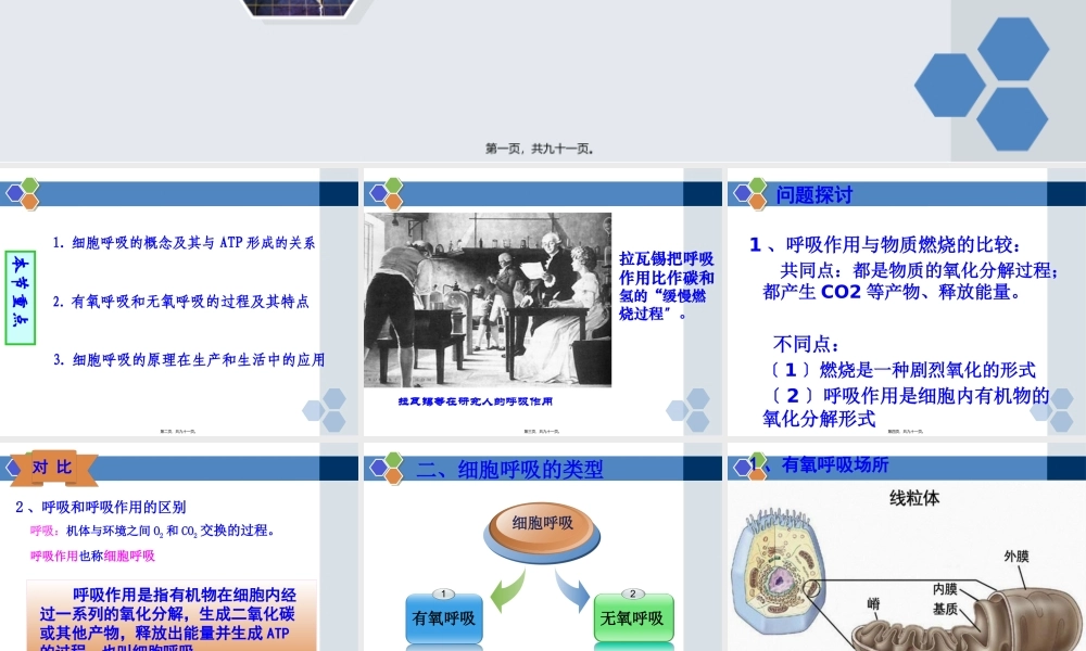 ATP的主要来源——细胞呼吸一轮复习.pptx
