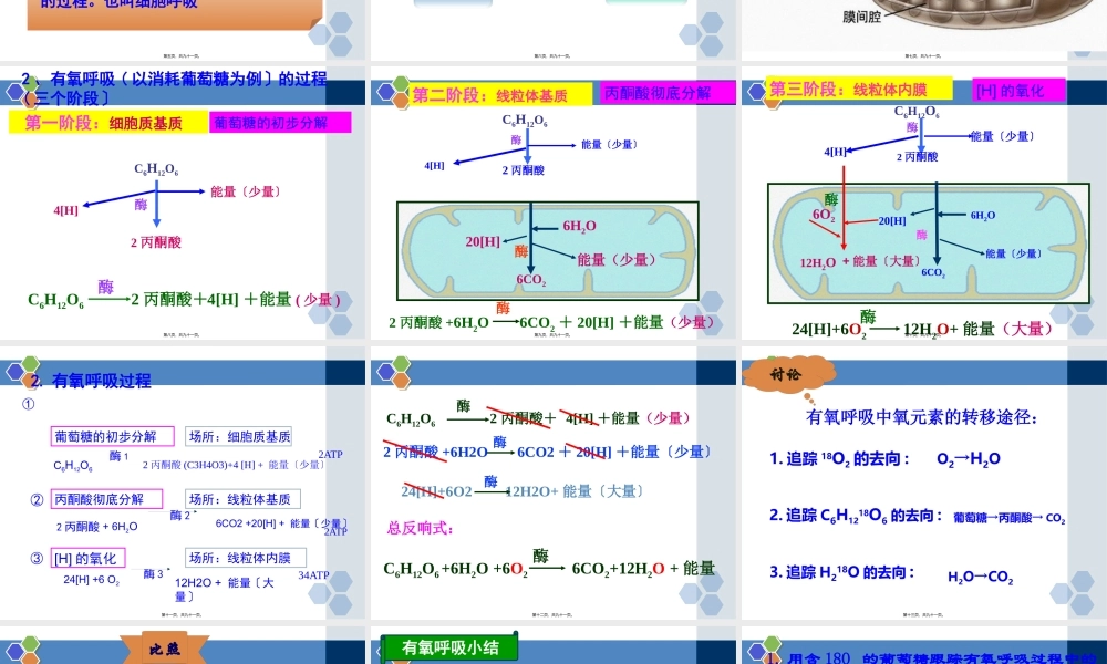 ATP的主要来源——细胞呼吸一轮复习.pptx