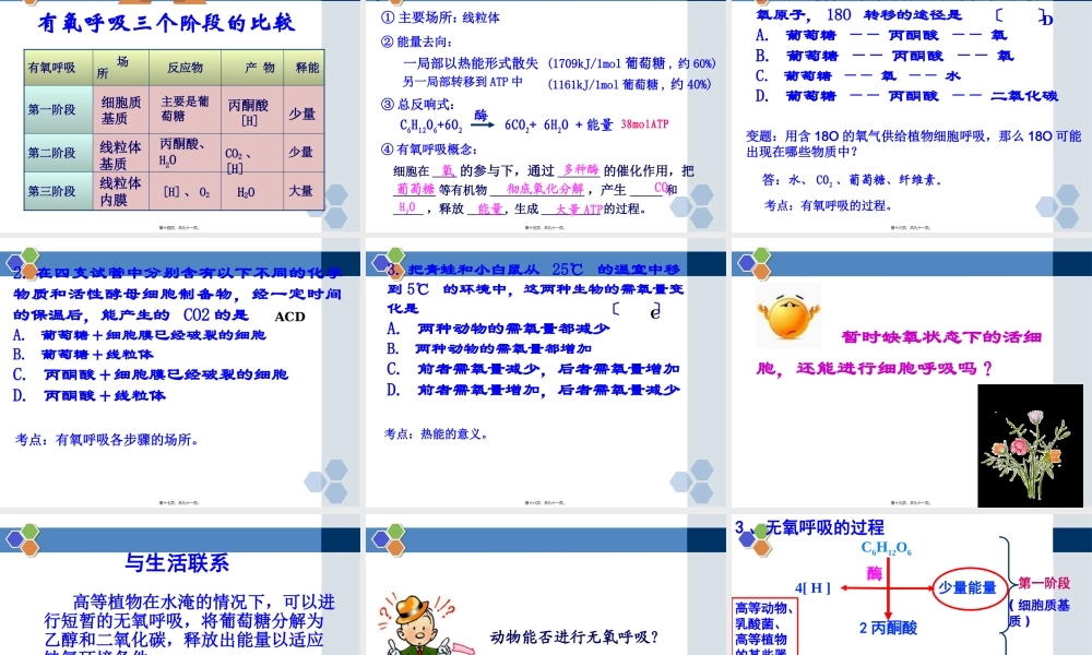 ATP的主要来源——细胞呼吸一轮复习.pptx