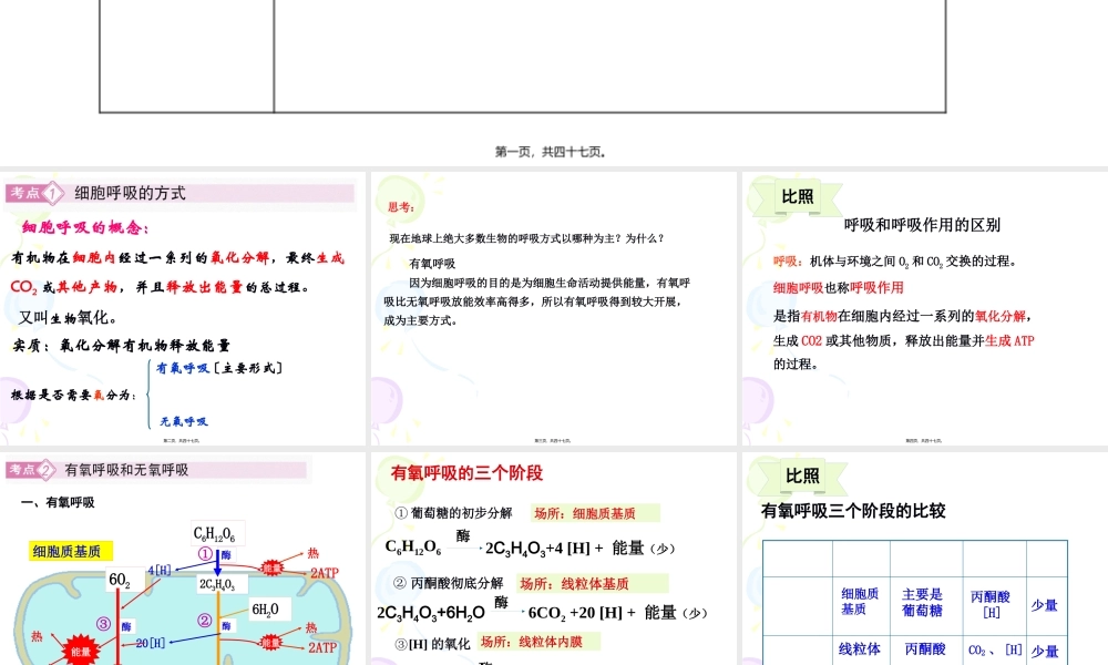 ATP的主要来源—细胞呼吸上课.pptx