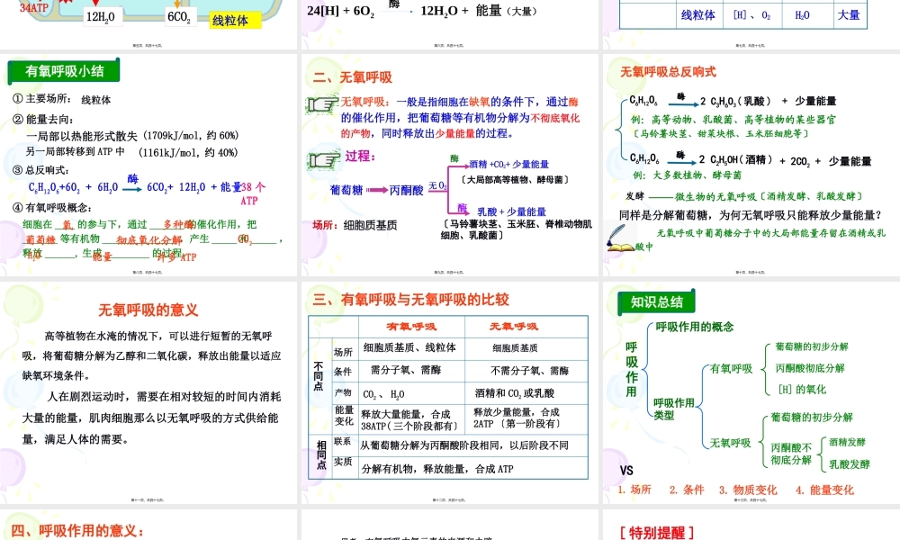 ATP的主要来源—细胞呼吸上课.pptx