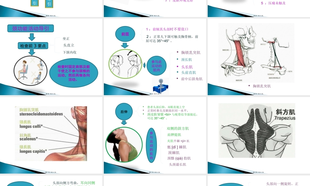 a颈椎体格导引方法.pptx