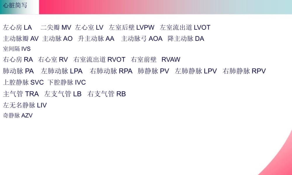 B心脏M超资料.pptx