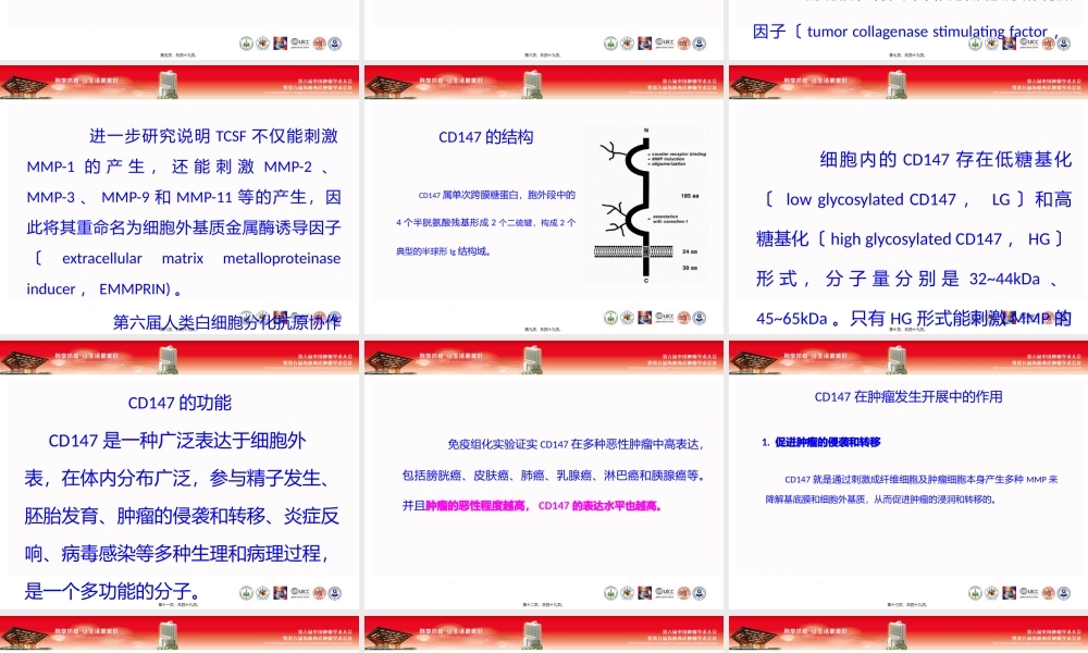 CD147在胃癌细胞SGC7901增殖.pptx