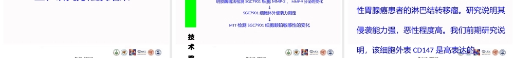 CD147在胃癌细胞SGC7901增殖.pptx