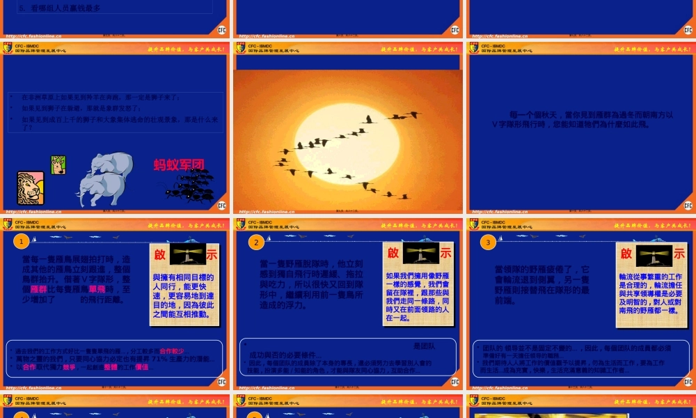 CFC-团队精神训练(讲师版).pptx