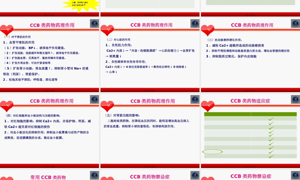 CCB类降压药.pptx