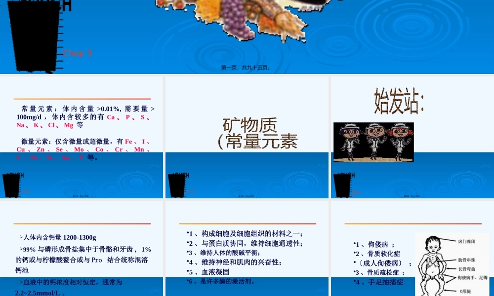 Chap3-2基础营养学.pptx