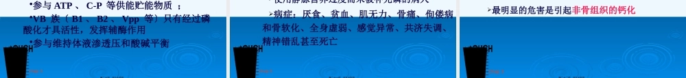 Chap3-2基础营养学.pptx
