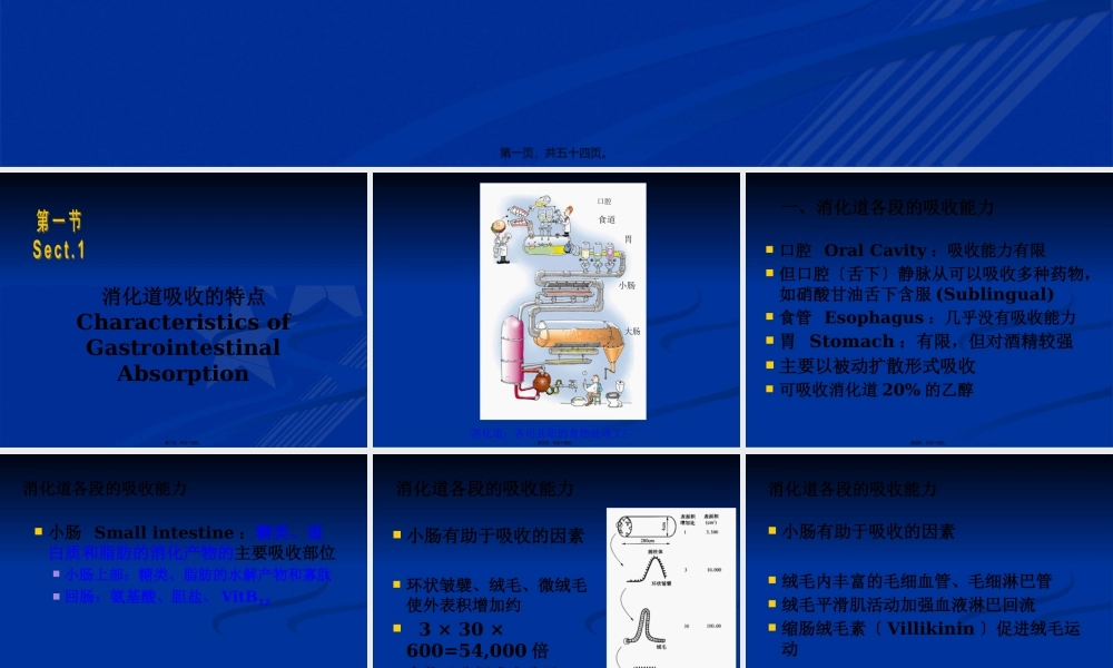Chapt-21：消化道的吸收功能.pptx