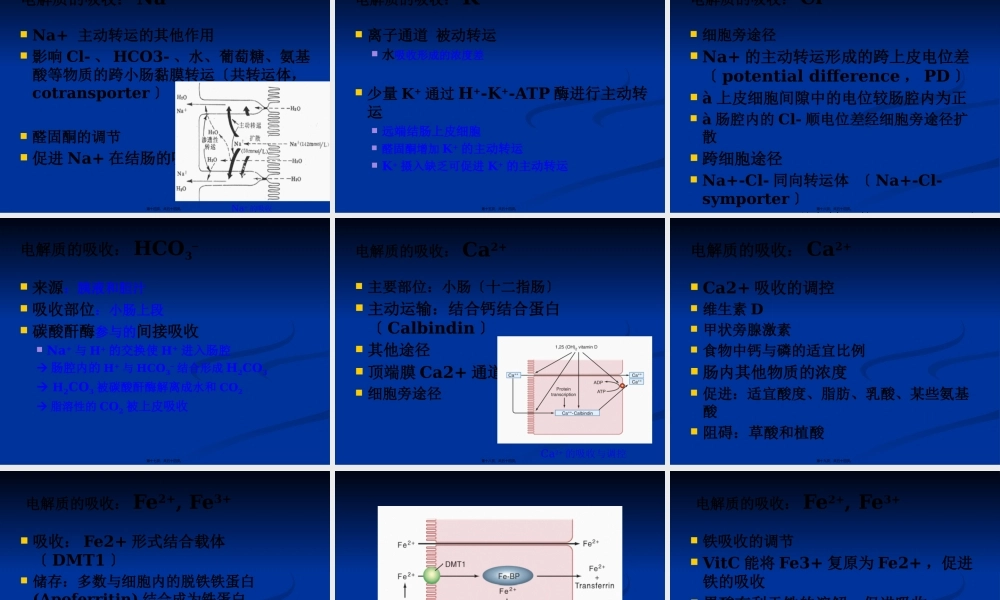 Chapt-21：消化道的吸收功能.pptx