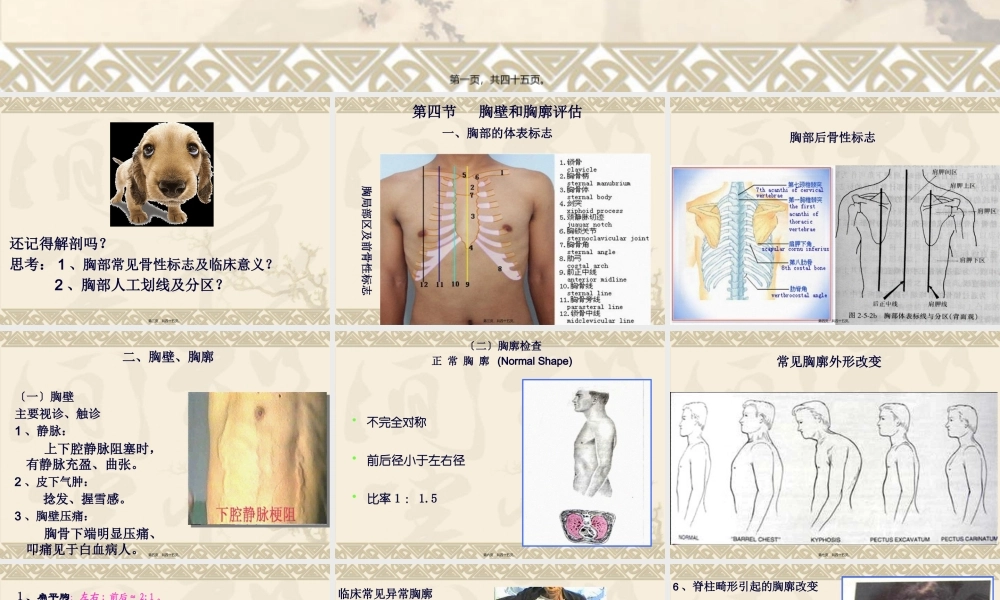 chapter4肺与胸膜评估.pptx