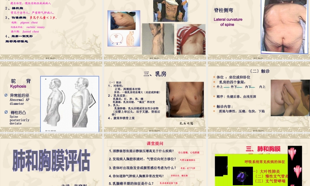 chapter4肺与胸膜评估.pptx