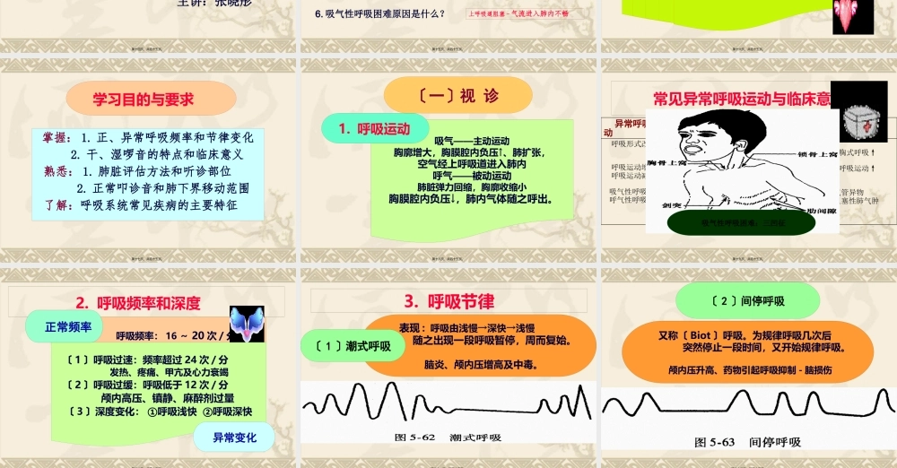 chapter4肺与胸膜评估.pptx
