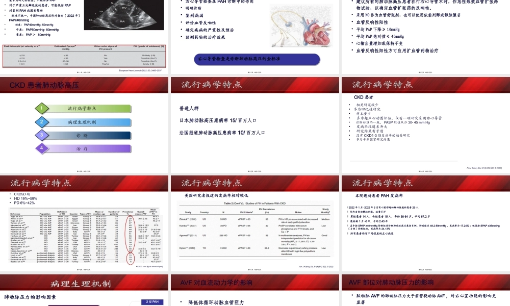 CKD肺动脉高压.pptx
