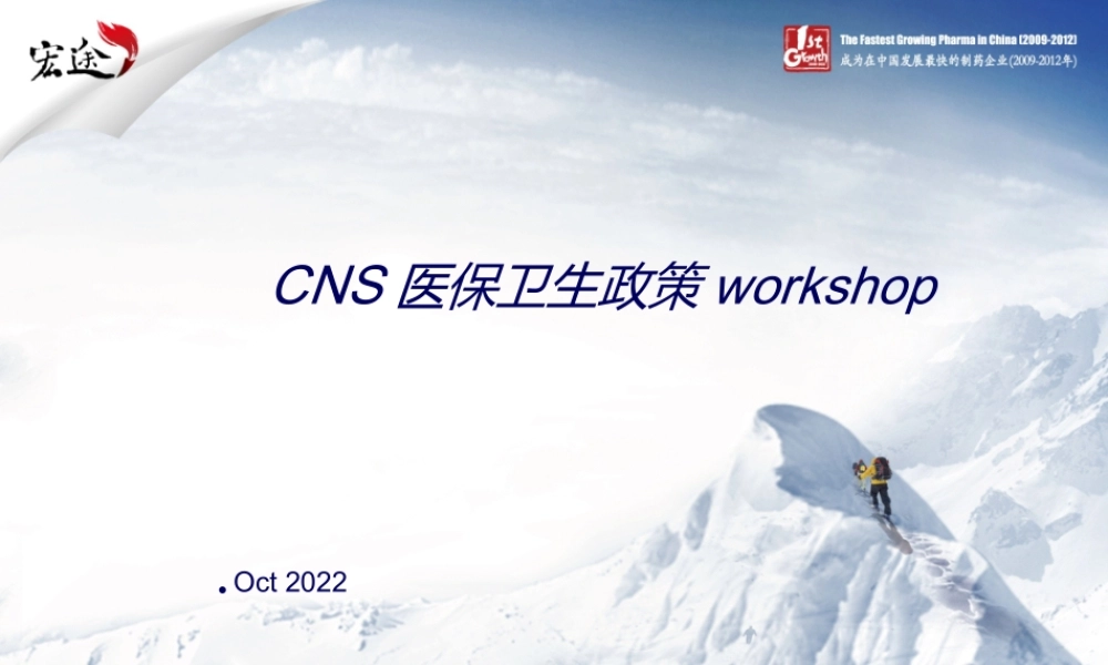 CNS医保卫生政策workshop20120913.ppt