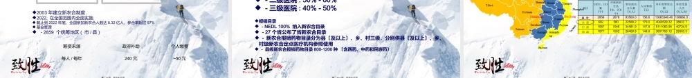 CNS医保卫生政策workshop20120913.ppt