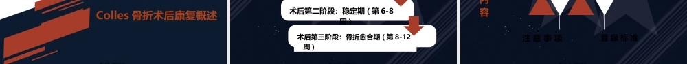 colles骨折术后康复.pptx