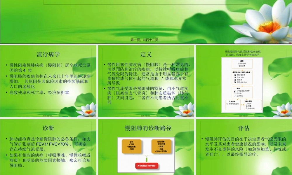 COPD诊治策略2017.pptx