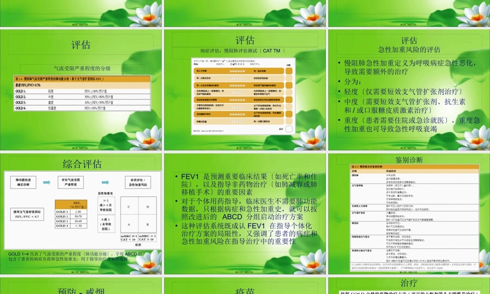 COPD诊治策略2017.pptx