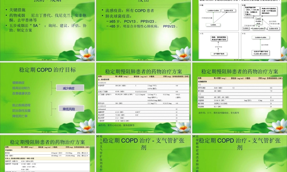 COPD诊治策略2017.pptx
